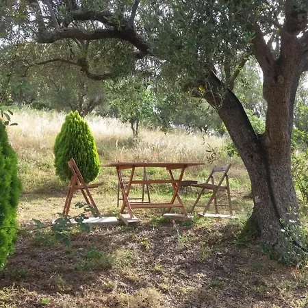 Poggio Degli Ulivi Ascea