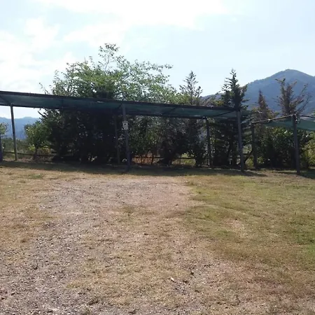 Poggio Degli Ulivi