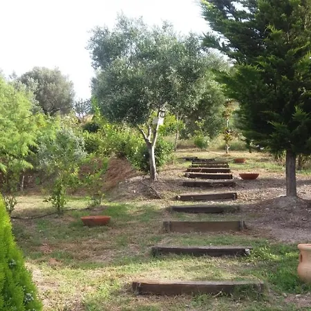 Holiday home Poggio Degli Ulivi