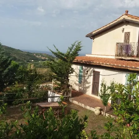 Poggio Degli Ulivi *