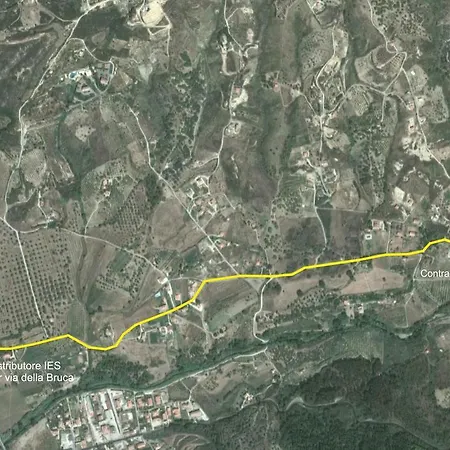Casa vacanze Poggio Degli Ulivi Ascea