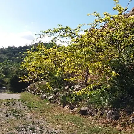 Poggio Degli Ulivi Holiday home Ascea