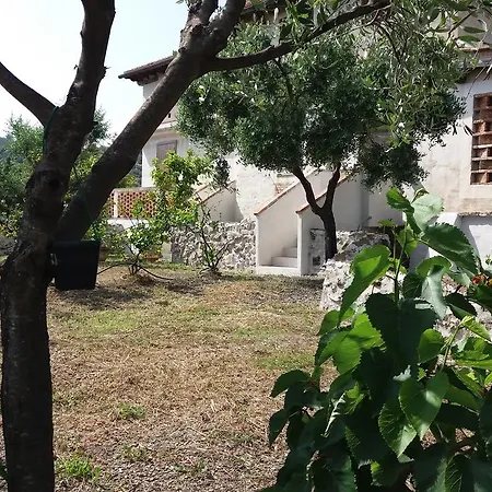 Poggio Degli Ulivi *