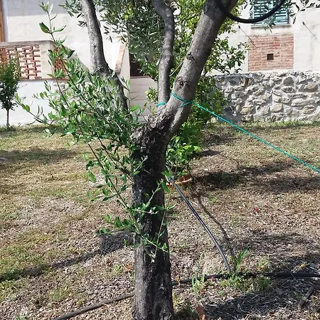 Poggio Degli Ulivi * Ascea