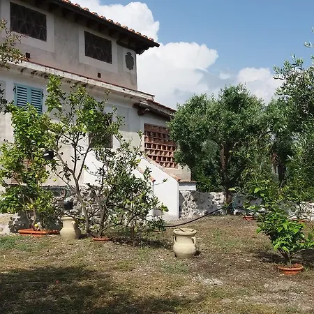 Poggio Degli Ulivi Ascea