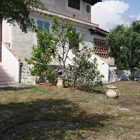 Poggio Degli Ulivi