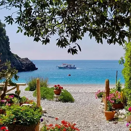 Poggio Degli Ulivi * Ascea