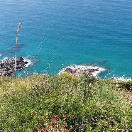 Poggio Degli Ulivi *